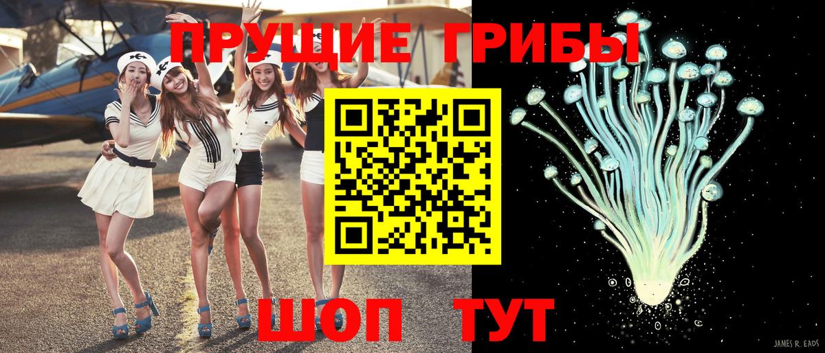Шебекино  наркота  Вход с VPN  Псилоцибиновые грибы Psilocybine cubensis  Галлюциногенные грибы прущие грибы 