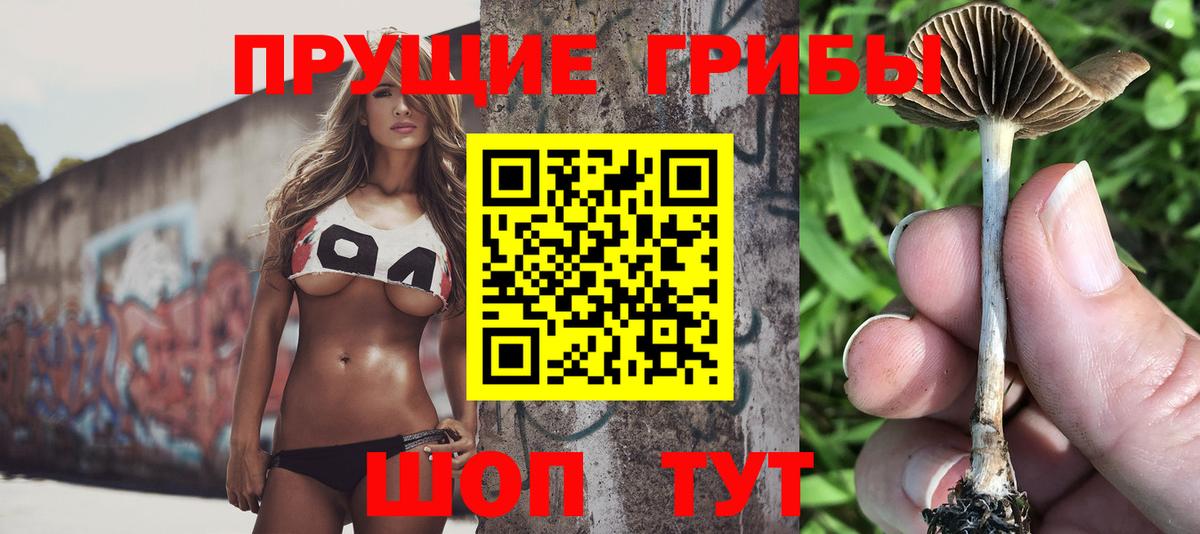 Галлюциногенные грибы MAGIC MUSHROOMS Шебекино